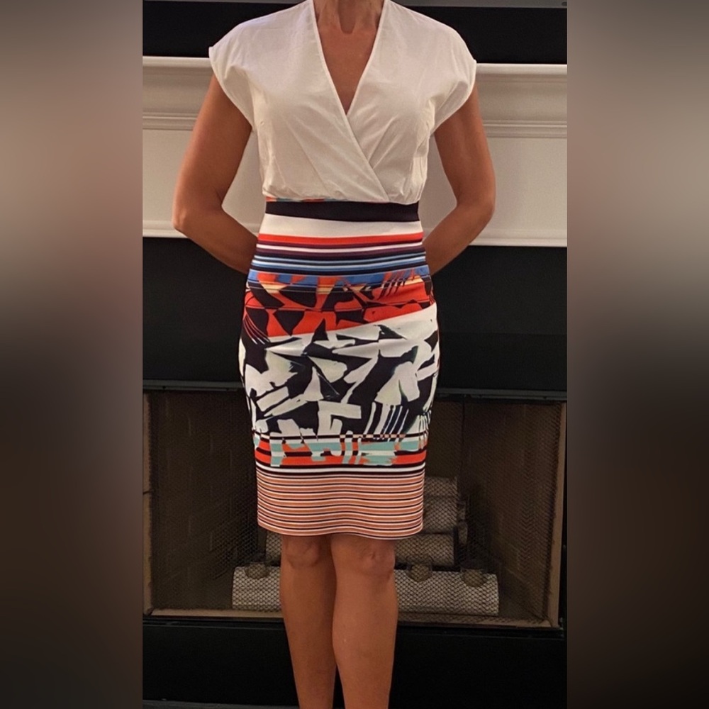 Clover Canyon Dress knees length classy dress